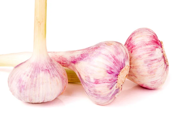 Tres cabeza de ajo fresco aislado sobre fondo blanco — Foto de Stock