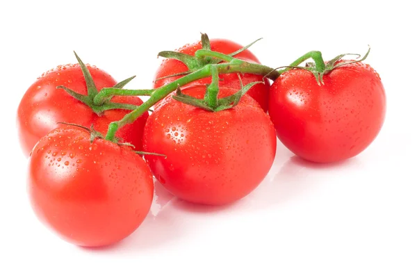 Rama cinco tomates aislados sobre fondo blanco — Foto de Stock