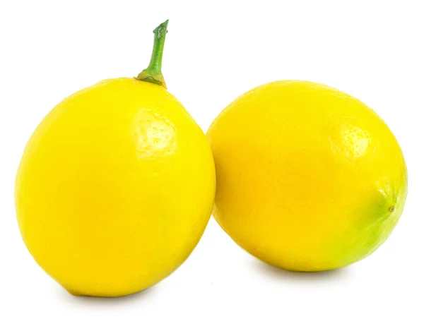 Two large ripe lemon closeup on white background. horizontal photo — Stock Photo, Image