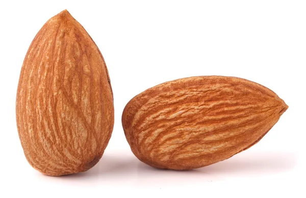 Deux amandes pelées crues close up macro — Photo