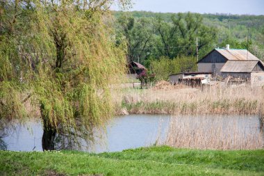 bir gölet, willows, sazlık ve eski ev ile kırsal manzara