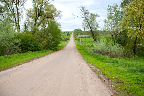 Ländliche Landschaft mit Straßenbäumen im Frühjahr — Stockfoto