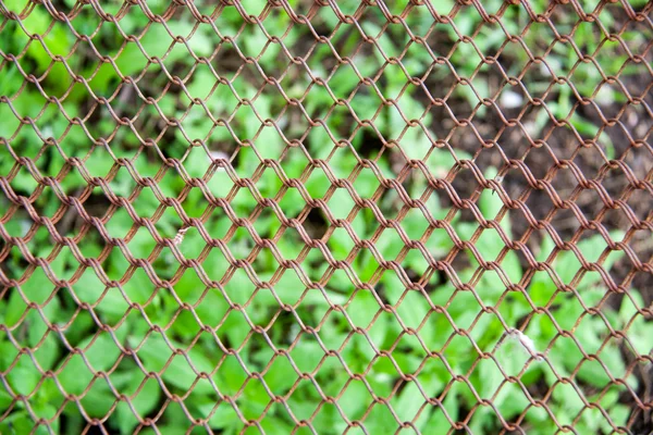 Background of the metal wire mesh fence — Stock Photo, Image