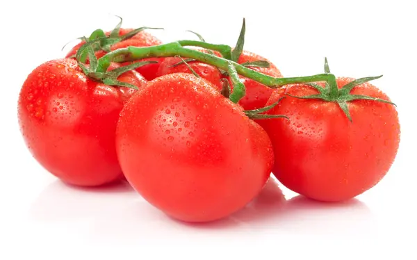 Oddział pomidory na białym tle — Zdjęcie stockowe