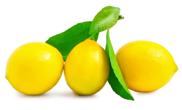 Three large, juicy, beautiful lemon on a white background — Stock Photo, Image