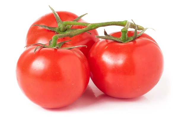 Zweig von drei Tomaten isoliert auf weißem Hintergrund — Stockfoto