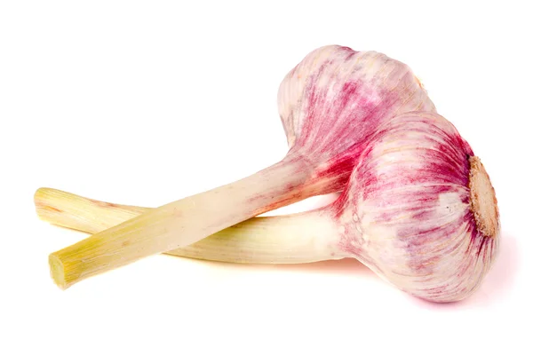 Dos cabezas de ajo fresco aisladas sobre fondo blanco — Foto de Stock