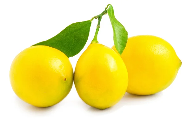 Три лимона на белом фоне — стоковое фото