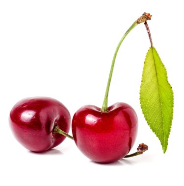 Beyaz arka plan üzerinde izole yaprak closeup ile iki kiraz