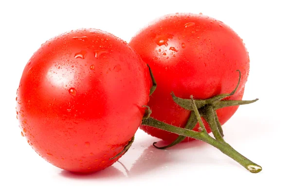 Tak van twee tomaten met waterdruppels geïsoleerde witte achtergrond — Stockfoto