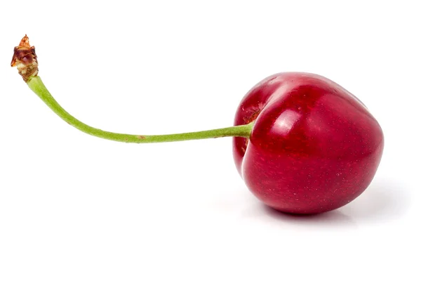 Un primer plano de cereza dulce aislado sobre fondo blanco — Foto de Stock