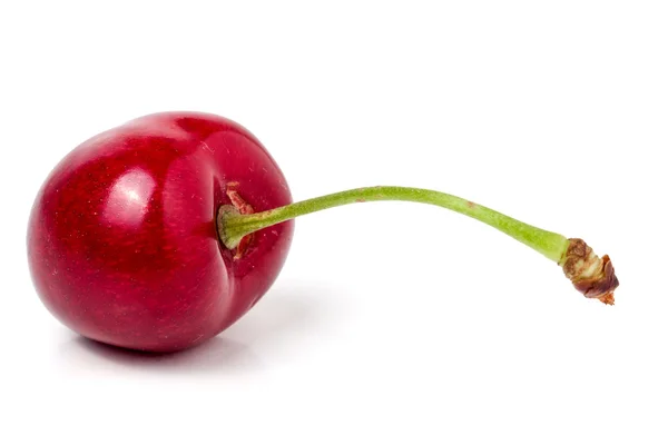 Jeden zbliżenie sweet cherry na białym tle — Zdjęcie stockowe