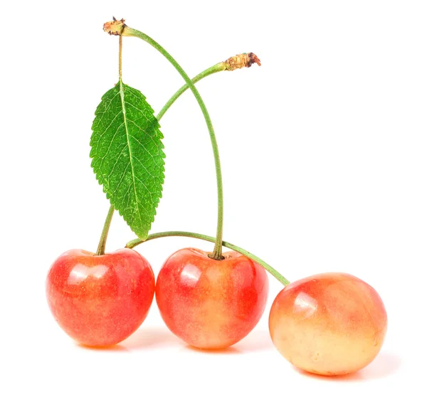 Three cherries with leaf closeup isolated on white background — Stock Photo, Image