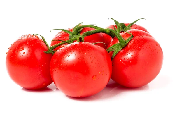 Tomatenzweig mit Wassertropfen isoliert auf weißem Hintergrund — Stockfoto