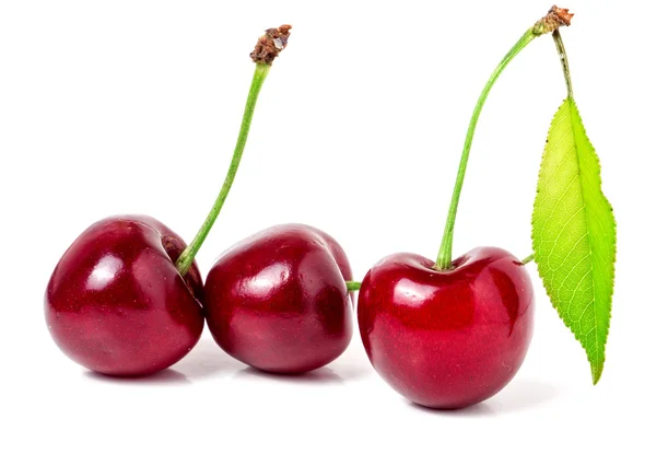 Trois cerises à gros plan de feuilles isolées sur fond blanc — Photo