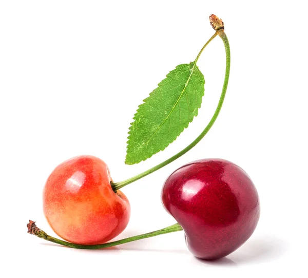 Dos cerezas con primer plano de hojas aisladas sobre fondo blanco — Foto de Stock