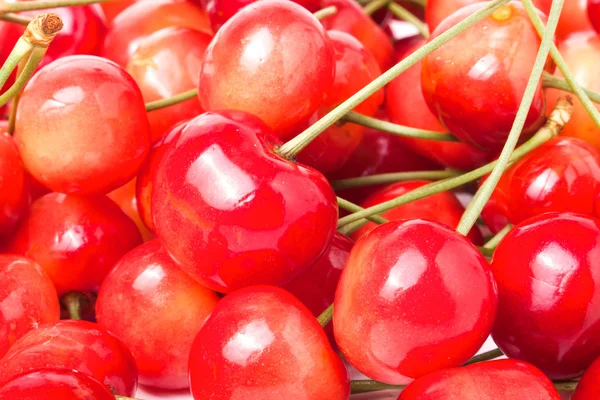 Cereza rosa como fondo de cerca —  Fotos de Stock