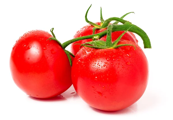 Branch of three tomatoes with water droplets isolated on white — Stock Photo, Image