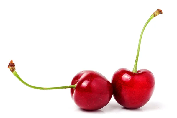 Dos cereza dulce primer plano aislado sobre fondo blanco — Foto de Stock