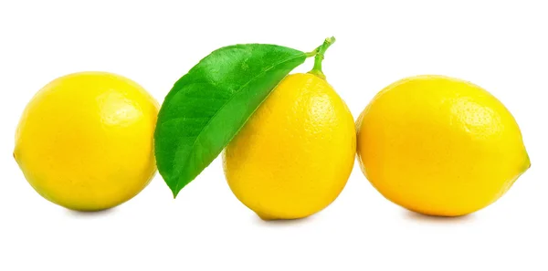 Tre grandi, succose, belle limoni su uno sfondo bianco — Foto Stock