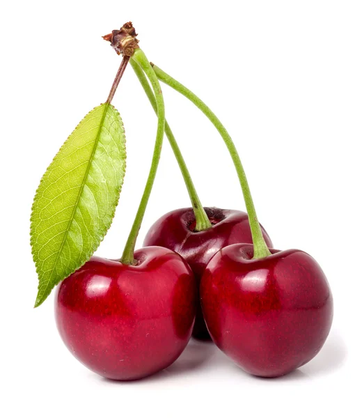 Trois cerises à gros plan de feuilles isolées sur fond blanc — Photo