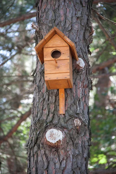 Wooden birdhouse on a tree in the forest and park — Stock Photo, Image
