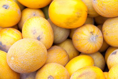 arka plan olarak sayaç piyasada kavun