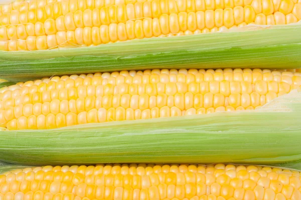 Drie oor van maïs met bladeren als achtergrond — Stockfoto