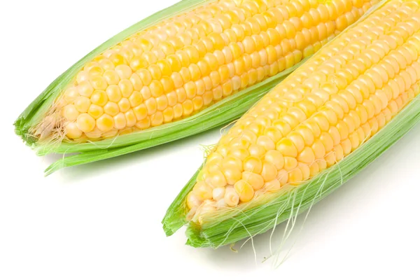 两只耳朵的玉米叶孤立在白色背景 — 图库照片