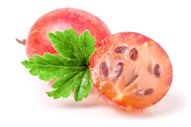 yaprak ve yarısı beyaz arka plan üzerinde izole kırmızı bektaşi