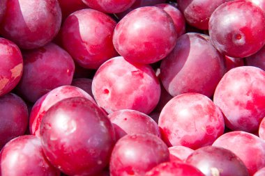 Erik Satılık sayaç piyasada