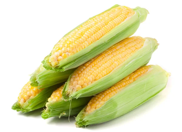 Few ears of corn with leaves isolated on white background — Stock Photo, Image