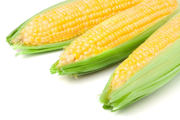 Drie oor van maïs met verlaat geïsoleerd op witte achtergrond — Stockfoto
