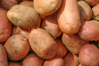 arka plan olarak Satılık sayaç piyasada patates