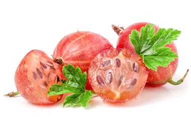 yaprak ve yarısı beyaz arka plan üzerinde izole kırmızı bektaşi