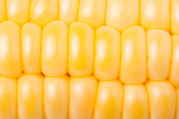 Ear of corn as background close-up macro — Stock Photo, Image