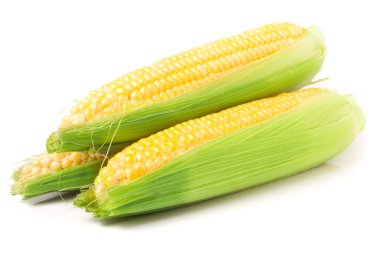 Mısır ile üç kulak izole üzerinde beyaz arka plan bırakır