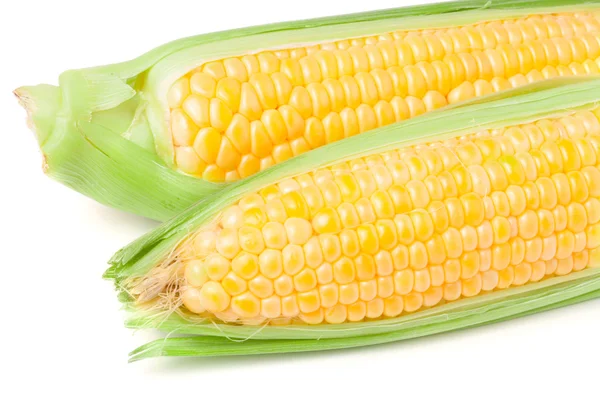 Två öra av majs med lämnar isolerade på vit bakgrund — Stockfoto