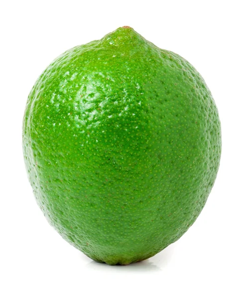 Lime isolated on white background close up — Stock Photo, Image