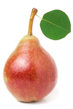 bir Kırmızı-Sarı armut yaprak beyaz arka plan üzerinde izole