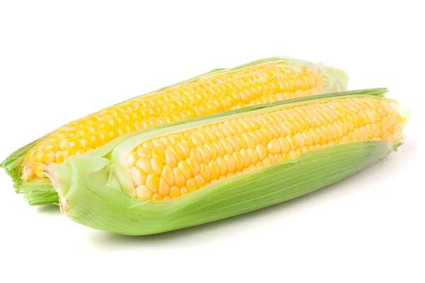 Dos mazorcas de maíz con hojas aisladas sobre fondo blanco — Foto de Stock