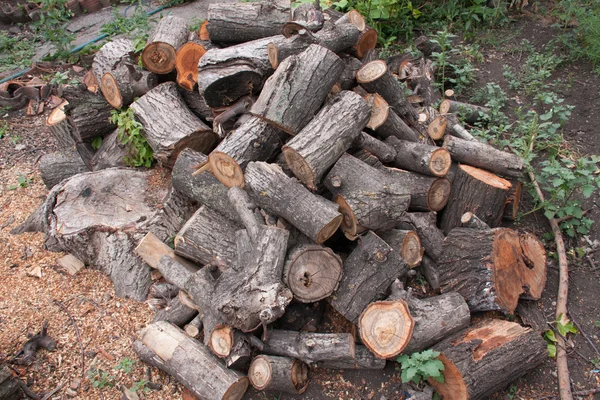 Pile of firewood close-up on a cloudy day — Stock Photo, Image