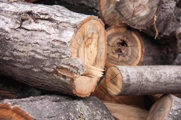 Pile of firewood close-up on a cloudy day — Stock Photo, Image