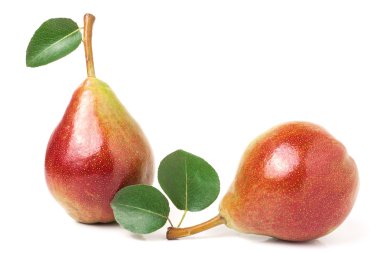 Beyaz arka plan üzerinde izole yaprak iki kırmızı armut