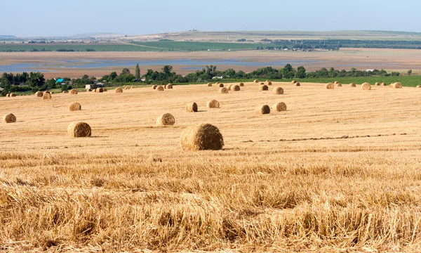 Campo de verano con balas de heno como fondo —  Fotos de Stock