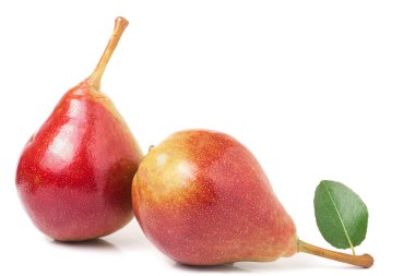 Beyaz arka plan üzerinde izole yaprak iki kırmızı armut