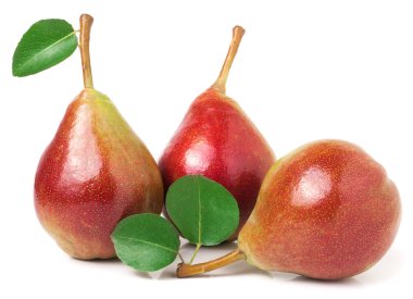 Üç kırmızı armut ile yaprakları üzerinde izole beyaz arka plan