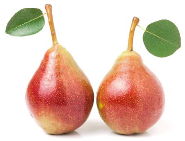 Beyaz arka plan üzerinde izole yaprak iki kırmızı armut