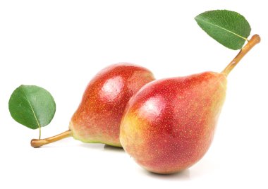 Beyaz arka plan üzerinde izole yaprak iki kırmızı armut