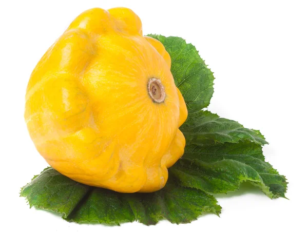 One yellow pattypan squash with leaf isolated on white background — Stock Photo, Image